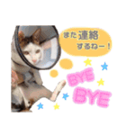 ヨーダさん★1（個別スタンプ：13）