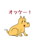 犬のすしお（個別スタンプ：3）