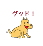 犬のすしお（個別スタンプ：9）