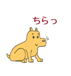 犬のすしお（個別スタンプ：16）