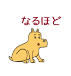 犬のすしお（個別スタンプ：31）