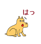 犬のすしお（個別スタンプ：34）