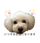 ビションプー☆仕事☆OUTA_BichonPoo（個別スタンプ：1）