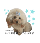 ビションプー☆仕事☆OUTA_BichonPoo（個別スタンプ：39）