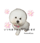 ビションプー☆仕事☆OUTA_BichonPoo（個別スタンプ：40）
