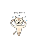 うちのネコと日常（個別スタンプ：3）