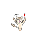 うちのネコと日常（個別スタンプ：7）