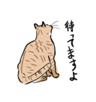 チョンキ達！（個別スタンプ：1）