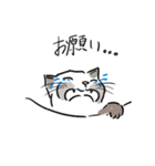 チョンキ達！（個別スタンプ：5）