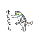 チョンキ達！（個別スタンプ：6）