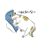 チョンキ達！（個別スタンプ：7）