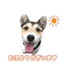 カイのゆるゆるスタンプ（個別スタンプ：1）