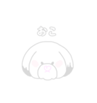 しろシーズー（個別スタンプ：4）