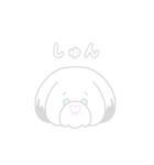 しろシーズー（個別スタンプ：9）