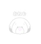 しろシーズー（個別スタンプ：11）