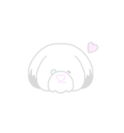 しろシーズー（個別スタンプ：13）
