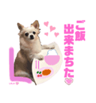 ララちゃんにお任せ❣️（個別スタンプ：4）