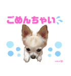 ララちゃんにお任せ❣️（個別スタンプ：5）