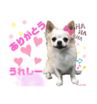ララちゃんにお任せ❣️（個別スタンプ：6）