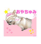 ララちゃんにお任せ❣️（個別スタンプ：7）