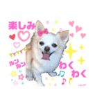 ララちゃんにお任せ❣️（個別スタンプ：8）