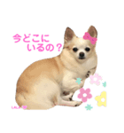 ララちゃんにお任せ Part2（個別スタンプ：1）