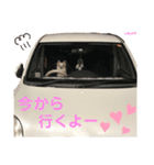 ララちゃんにお任せ Part2（個別スタンプ：2）