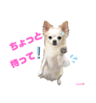 ララちゃんにお任せ Part2（個別スタンプ：5）