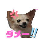 ララちゃんにお任せ Part2（個別スタンプ：6）