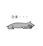 灰色猫さん（個別スタンプ：24）