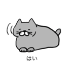 灰色猫さん（個別スタンプ：31）