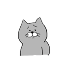 灰色猫さん（個別スタンプ：37）