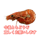 食べ物の写真 日本語 ver4（個別スタンプ：8）