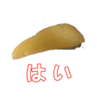 食べ物の写真 日本語 ver4（個別スタンプ：9）
