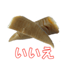 食べ物の写真 日本語 ver4（個別スタンプ：39）
