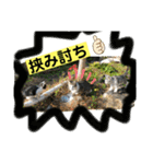 ねこねこシリーズ1（個別スタンプ：5）