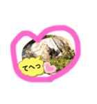 ねこねこシリーズ1（個別スタンプ：15）