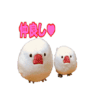 おもちインコ（個別スタンプ：38）