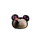 パンダネズミ（個別スタンプ：5）