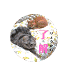 姫様とムサシのスタンプ（個別スタンプ：17）