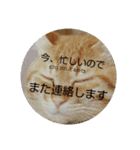 姫様とムサシのスタンプ（個別スタンプ：21）