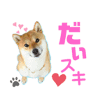 柚子さん♥カナダ暮らし（個別スタンプ：2）