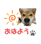 柚子さん♥カナダ暮らし（個別スタンプ：10）