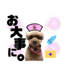 我が家のあろはちゃん❻（個別スタンプ：11）
