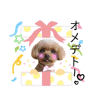 我が家のあろはちゃん❻（個別スタンプ：15）