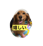 コールちゃん3（個別スタンプ：19）