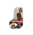 コールちゃん3（個別スタンプ：31）