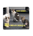 暖かく見守ってください（個別スタンプ：1）