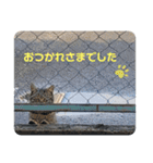 暖かく見守ってください（個別スタンプ：2）