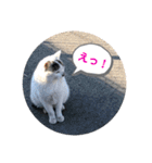 暖かく見守ってください（個別スタンプ：3）